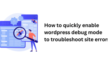 wordpress debug mode